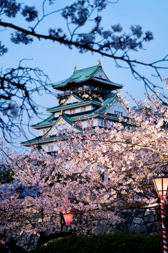 Beautiful view of Osaka Castle surrounded by cherry blossoms under a serene sky in Osaka, Japan.