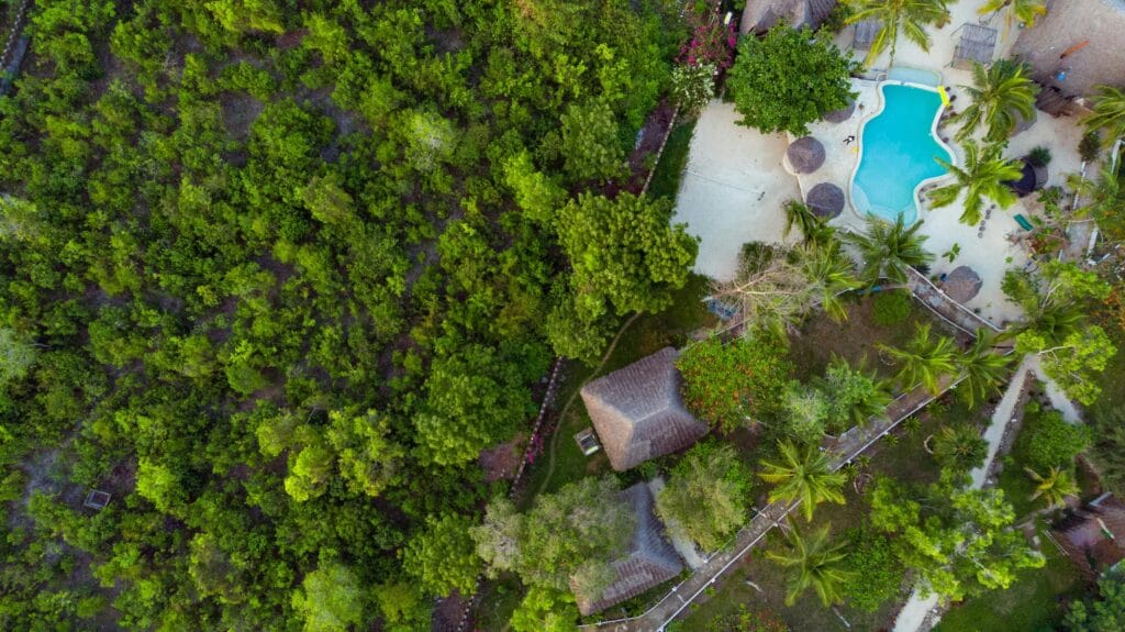 pexels-photo-10099900-10099900 Lush greenery and poolside relaxation captured from above in Zanzibar, Tanzania.