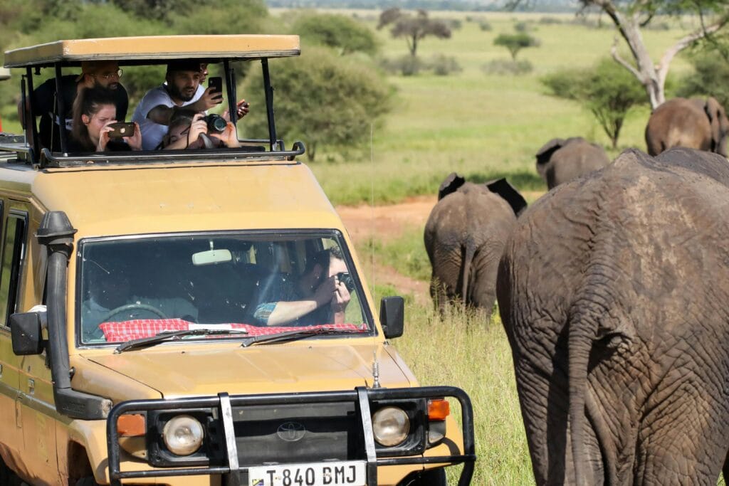 pexels-photo-10740862-10740862 Tourists in a safari vehicle observe and photograph elephants during an African safari.