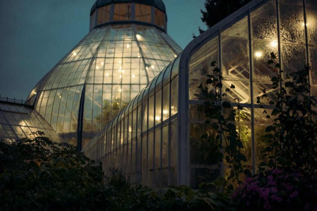 Beautifully lit greenhouse at dusk showcasing lush plant life through glass panels.