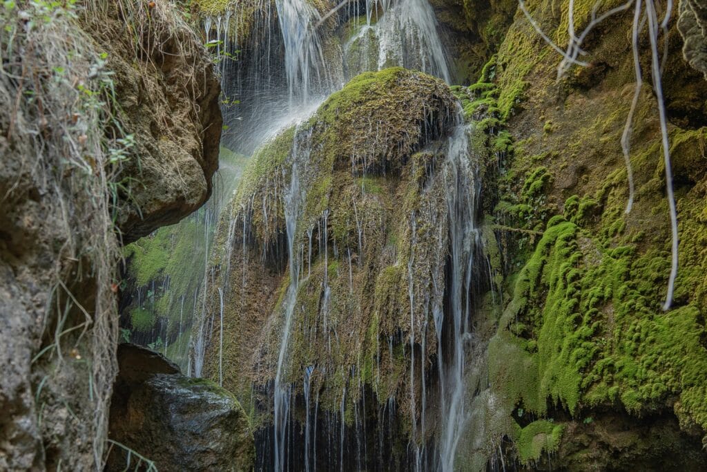 pexels-photo-34198491-34198491 Captivating waterfall surrounded by mossy rocks and lush vegetation in Bogarra, Castilla-La Mancha, Spain.