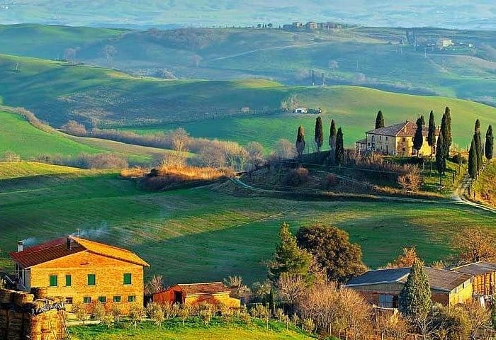 Tuscany Wine Harvest Tour
