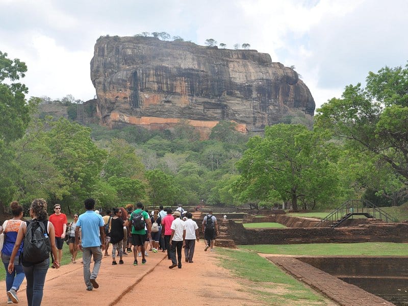 arugam bay for beginners