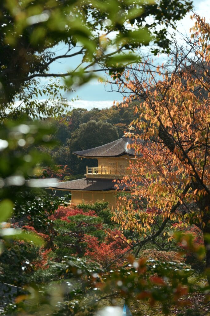 Golden Pavilion temple surrounded by vibrant autumn leaves in Kyoto, Japan.